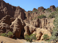 Red Mountain, AZ